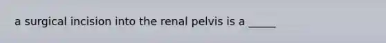 a surgical incision into the renal pelvis is a _____