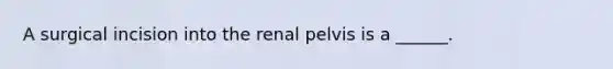 A surgical incision into the renal pelvis is a ______.