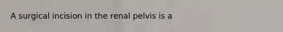 A surgical incision in the renal pelvis is a