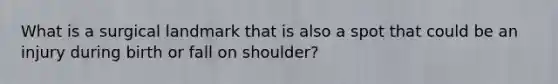 What is a surgical landmark that is also a spot that could be an injury during birth or fall on shoulder?