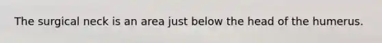 The surgical neck is an area just below the head of the humerus.