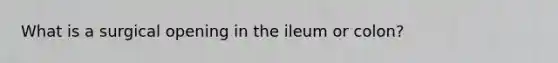 What is a surgical opening in the ileum or colon?