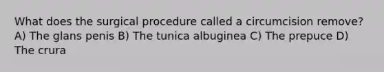 What does the surgical procedure called a circumcision remove? A) The glans penis B) The tunica albuginea C) The prepuce D) The crura