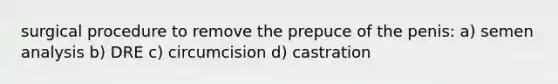 surgical procedure to remove the prepuce of the penis: a) semen analysis b) DRE c) circumcision d) castration