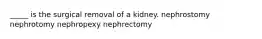 _____ is the surgical removal of a kidney. nephrostomy nephrotomy nephropexy nephrectomy