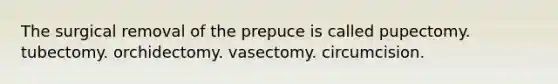 The surgical removal of the prepuce is called pupectomy. tubectomy. orchidectomy. vasectomy. circumcision.