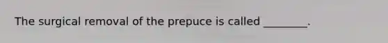 The surgical removal of the prepuce is called ________.