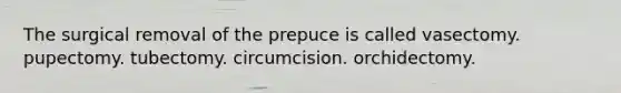 The surgical removal of the prepuce is called vasectomy. pupectomy. tubectomy. circumcision. orchidectomy.