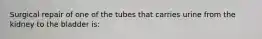 Surgical repair of one of the tubes that carries urine from the kidney to the bladder is: