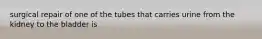 surgical repair of one of the tubes that carries urine from the kidney to the bladder is