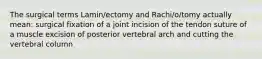 The surgical terms Lamin/ectomy and Rachi/o/tomy actually mean: surgical fixation of a joint incision of the tendon suture of a muscle excision of posterior vertebral arch and cutting the vertebral column