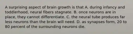 A surprising aspect of brain growth is that A. during infancy and toddlerhood, neural fibers stagnate. B. once neurons are in place, they cannot differentiate. C. the neural tube produces far less neurons than the brain will need. D. as synapses form, 20 to 80 percent of the surrounding neurons die.