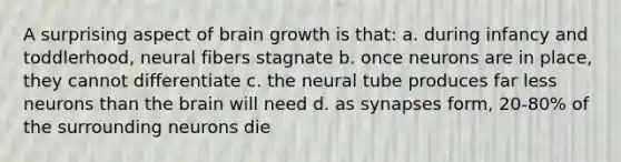 A surprising aspect of brain growth is that: a. during infancy and toddlerhood, neural fibers stagnate b. once neurons are in place, they cannot differentiate c. the neural tube produces far less neurons than the brain will need d. as synapses form, 20-80% of the surrounding neurons die