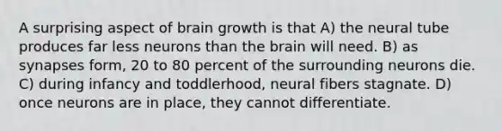 A surprising aspect of brain growth is that A) the neural tube produces far less neurons than <a href='https://www.questionai.com/knowledge/kLMtJeqKp6-the-brain' class='anchor-knowledge'>the brain</a> will need. B) as synapses form, 20 to 80 percent of the surrounding neurons die. C) during infancy and toddlerhood, neural fibers stagnate. D) once neurons are in place, they cannot differentiate.