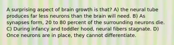 A surprising aspect of brain growth is that? A) the neural tube produces far less neurons than the brain will need. B) As synapses form, 20 to 80 percent of the surrounding neurons die. C) During infancy and toddler hood, neural fibers stagnate. D) Once neurons are in place, they cannot differentiate.