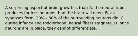 A surprising aspect of brain growth is that: A. the neural tube produces far less neurons than the brain will need. B. as synapses form, 20% - 80% of the surrounding neurons die. C. during infancy and toddlerhood, neural fibers stagnate. D. once neurons are in place, they cannot differentiate.