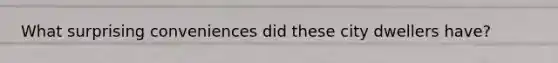 What surprising conveniences did these city dwellers have?