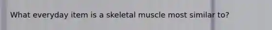 What everyday item is a skeletal muscle most similar to?