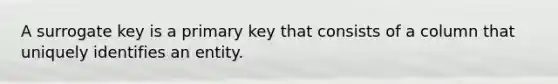 A surrogate key is a primary key that consists of a column that uniquely identifies an entity.