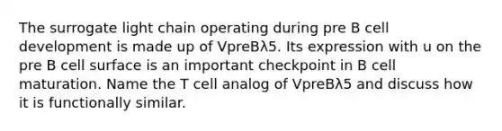 The surrogate light chain operating during pre B cell development is made up of VpreBλ5. Its expression with u on the pre B cell surface is an important checkpoint in B cell maturation. Name the T cell analog of VpreBλ5 and discuss how it is functionally similar.