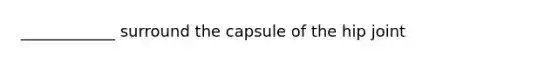 ____________ surround the capsule of the hip joint