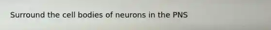 Surround the cell bodies of neurons in the PNS