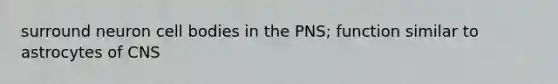 surround neuron cell bodies in the PNS; function similar to astrocytes of CNS