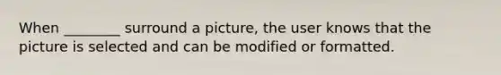 When ________ surround a picture, the user knows that the picture is selected and can be modified or formatted.