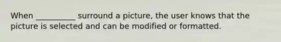 When __________ surround a picture, the user knows that the picture is selected and can be modified or formatted.