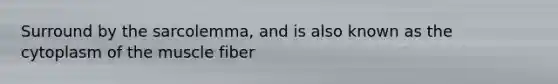Surround by the sarcolemma, and is also known as the cytoplasm of the muscle fiber