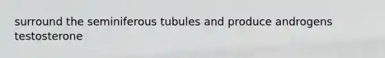 surround the seminiferous tubules and produce androgens testosterone