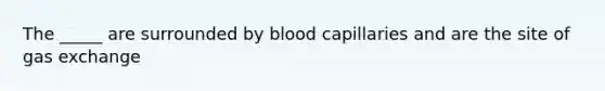 The _____ are surrounded by blood capillaries and are the site of gas exchange