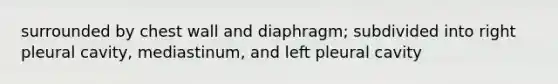 surrounded by chest wall and diaphragm; subdivided into right pleural cavity, mediastinum, and left pleural cavity