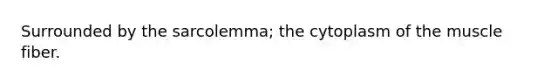 Surrounded by the sarcolemma; the cytoplasm of the muscle fiber.