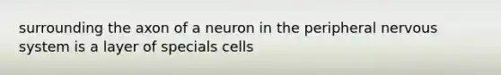 surrounding the axon of a neuron in the peripheral nervous system is a layer of specials cells