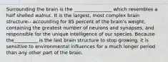 Surrounding the brain is the ________________ which resembles a half shelled walnut. It is the largest, most complex brain structure-- accounting for 85 percent of the brain's weight, containing the greatest number of neurons and synapses, and responsible for the unique intelligence of our species. Because the__________ is the last brain structure to stop growing, it is sensitive to environmental influences for a much longer period than any other part of the brain.