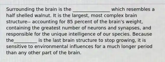 Surrounding the brain is the ________________ which resembles a half shelled walnut. It is the largest, most complex brain structure-- accounting for 85 percent of the brain's weight, containing the greatest number of neurons and synapses, and responsible for the unique intelligence of our species. Because the__________ is the last brain structure to stop growing, it is sensitive to environmental influences for a much longer period than any other part of the brain.