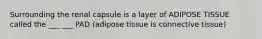 Surrounding the renal capsule is a layer of ADIPOSE TISSUE called the ___ ___ PAD (adipose tissue is connective tissue)