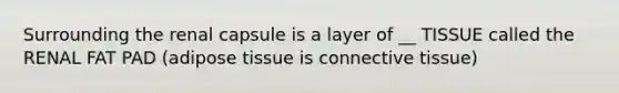 Surrounding the renal capsule is a layer of __ TISSUE called the RENAL FAT PAD (adipose tissue is connective tissue)