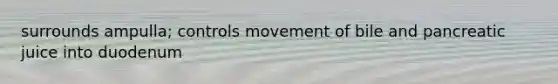surrounds ampulla; controls movement of bile and pancreatic juice into duodenum
