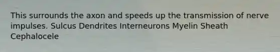 This surrounds the axon and speeds up the transmission of nerve impulses. Sulcus Dendrites Interneurons Myelin Sheath Cephalocele