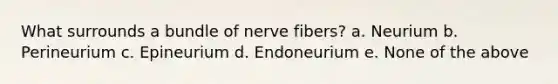 What surrounds a bundle of nerve fibers? a. Neurium b. Perineurium c. Epineurium d. Endoneurium e. None of the above