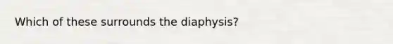 Which of these surrounds the diaphysis?