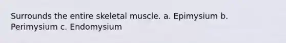 Surrounds the entire skeletal muscle. a. Epimysium b. Perimysium c. Endomysium