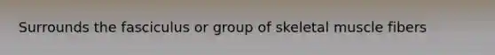 Surrounds the fasciculus or group of skeletal muscle fibers