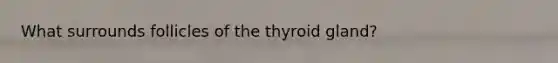 What surrounds follicles of the thyroid gland?