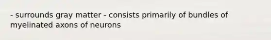 - surrounds gray matter - consists primarily of bundles of myelinated axons of neurons