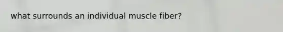 what surrounds an individual muscle fiber?