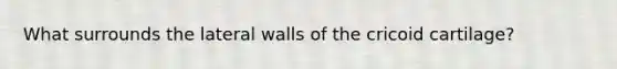 What surrounds the lateral walls of the cricoid cartilage?