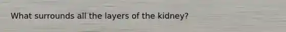 What surrounds all the layers of the kidney?